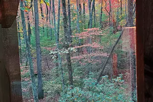 456 Bull Frog Ln, Clayton, GA 30525 - Photo 84