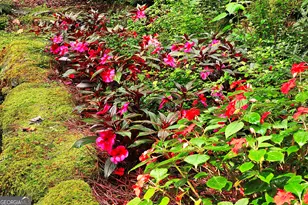 456 Bull Frog Ln, Clayton, GA 30525 - Photo 78