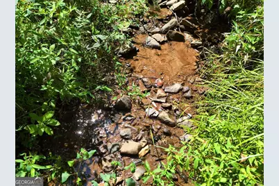 145 Ac. Bell Mountain, Hiawassee, GA 30546 - Photo 10