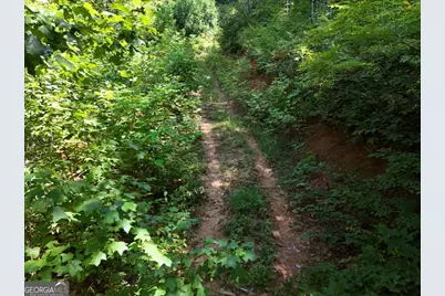 145 Ac. Bell Mountain, Hiawassee, GA 30546 - Photo 32