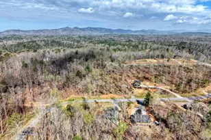 123 Lake Top Ln, Ellijay, GA 30540 - Photo 50