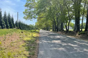 140 Austin Dr, McDonough, GA 30252 - Photo 40