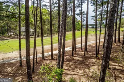 1051 Portside Court, Greensboro, GA 30642 - Photo 4