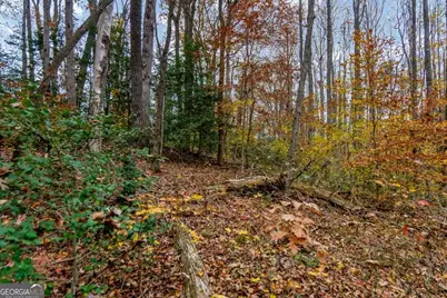 14551 E Hwy 52, Ellijay, GA 30536 - Photo 18