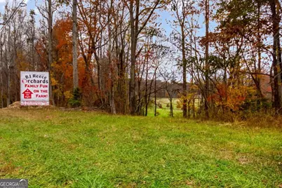 14551 E Hwy 52, Ellijay, GA 30536 - Photo 10