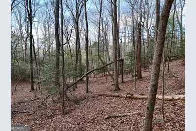 4801 Pat Colwell Road, Blairsville, GA 30512 - Photo 10