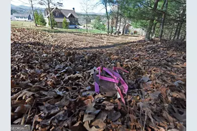 4801 Pat Colwell Road, Blairsville, GA 30512 - Photo 12