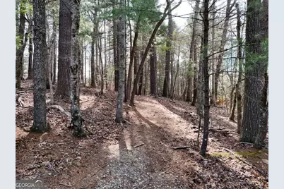 4801 Pat Colwell Road, Blairsville, GA 30512 - Photo 6