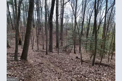 4801 Pat Colwell Road, Blairsville, GA 30512 - Photo 8