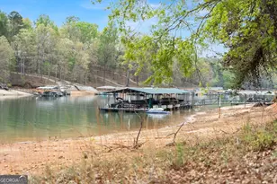 551 Lake Pl Dr, Lavonia, GA 30553 - Photo 34