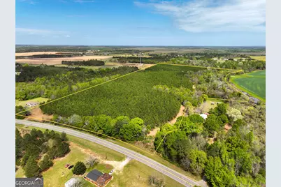 0 Hwy 26, Hawkinsville, GA 31036 - Photo 2