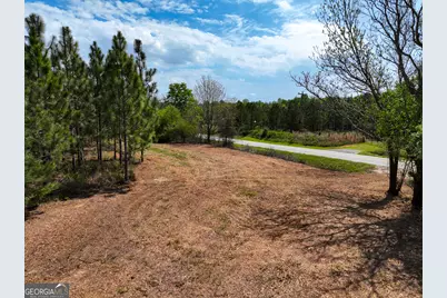 0 Hwy 26, Hawkinsville, GA 31036 - Photo 4