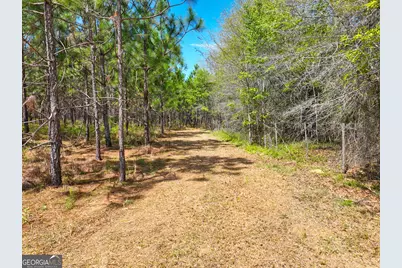 0 Hwy 26, Hawkinsville, GA 31036 - Photo 8