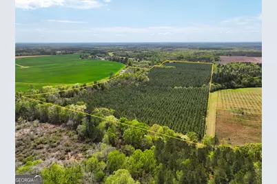 0 Hwy 26, Hawkinsville, GA 31036 - Photo 10