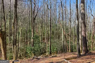 522 Rebel Cir, Sky Valley, GA 30537 - Photo 54