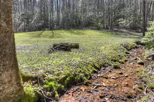 3693 Boardtown Rd, Ellijay, GA 30540 - Photo 6