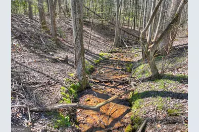 3693 Boardtown Road, Ellijay, GA 30540 - Photo 46