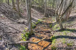 3693 Boardtown Rd, Ellijay, GA 30540 - Photo 46