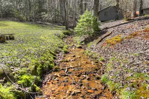 3693 Boardtown Rd, Ellijay, GA 30540 - Photo 48