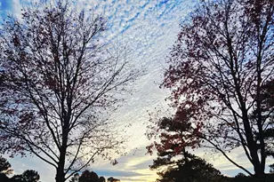 504 Flagstone Way, Acworth, GA 30101 - Photo 6