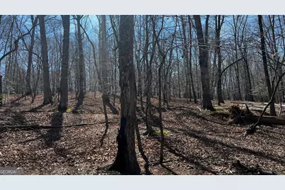 3675 Hidden Pond Drive, Gainesville, GA 30506 - Photo 36