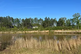 207 Archer Rd, Statesboro, GA 30461 - Photo 44