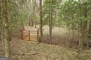 220 Evans Ln, Lakemont, GA 30552 - Photo 40