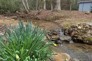 220 Evans Ln, Lakemont, GA 30552 - Photo 76