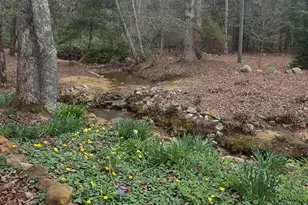 220 Evans Ln, Lakemont, GA 30552 - Photo 80