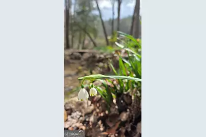 220 Evans Lane, Lakemont, GA 30552 - Photo 76