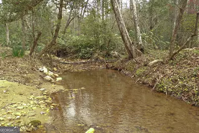 220 Evans Lane, Lakemont, GA 30552 - Photo 44