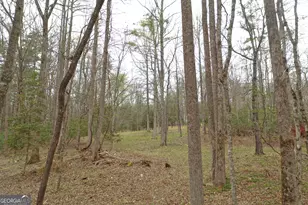 220 Evans Ln, Lakemont, GA 30552 - Photo 38