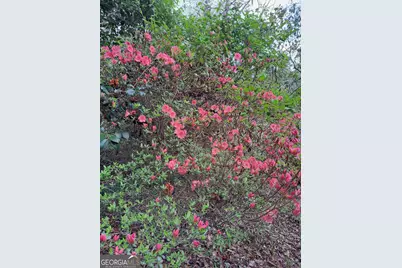 220 Evans Lane, Lakemont, GA 30552 - Photo 64