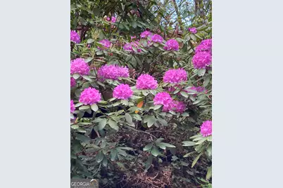 226 Moon Ridge Drive, Dillard, GA 30537 - Photo 102