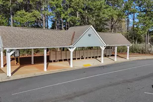 50 Cushing St, Senoia, GA 30276 - Photo 64