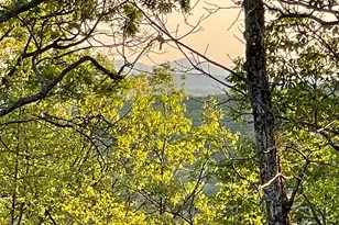 0 Little Eagle Mountain, Clarkesville, GA 30523 - Photo 1