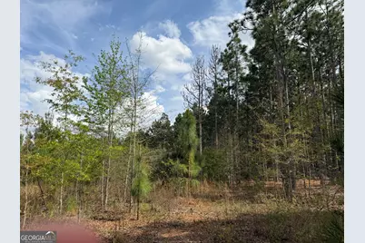 012 Barge Road, Lumpkin, GA 31815 - Photo 8