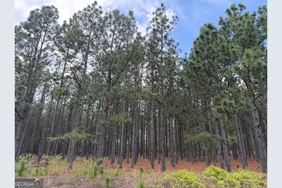 012 Barge Road, Lumpkin, GA 31815 - Photo 2