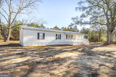 1153 Chester Alamo Road, Chester, GA 31012 - Photo 6