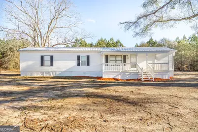 1169 Chester Alamo Road, Chester, GA 31012 - Photo 1