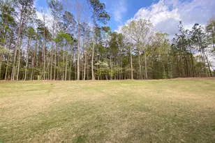 Lot 198 Northshore At Redwine Dr, Newnan, GA 30263 - Photo 4