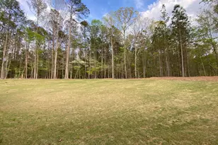 Lot 198 Northshore At Redwine Dr, Newnan, GA 30263 - Photo 44