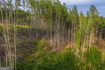 Lot 226 West Vista Ridge Parkway, Talking Rock, GA 30175 - Photo 12