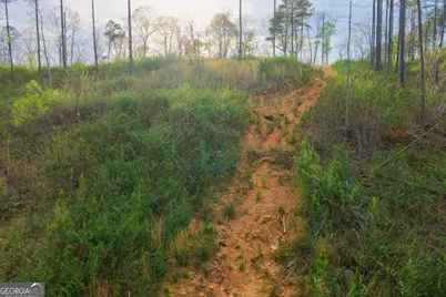 Lot 226 West Vista Ridge Parkway, Talking Rock, GA 30175 - Photo 2