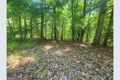 Lot 3 Meadow View Drive #3, Morganton, GA 30560 - Photo 4