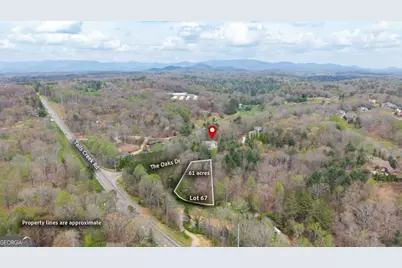 73 The Oaks Drive, Ellijay, GA 30540 - Photo 4