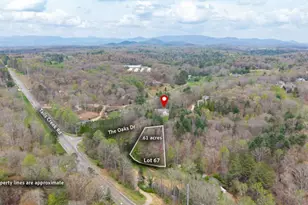 73 The Oaks Dr, Ellijay, GA 30540 - Photo 4