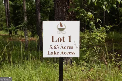 100 Overlook Drive, Eatonton, GA 31024 - Photo 2