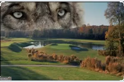 5349 Tolar Road, South Fulton, GA 30213 - Photo 36