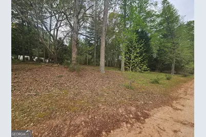 921 Deer River Road SE, Monroe, GA 30656 - Photo 16